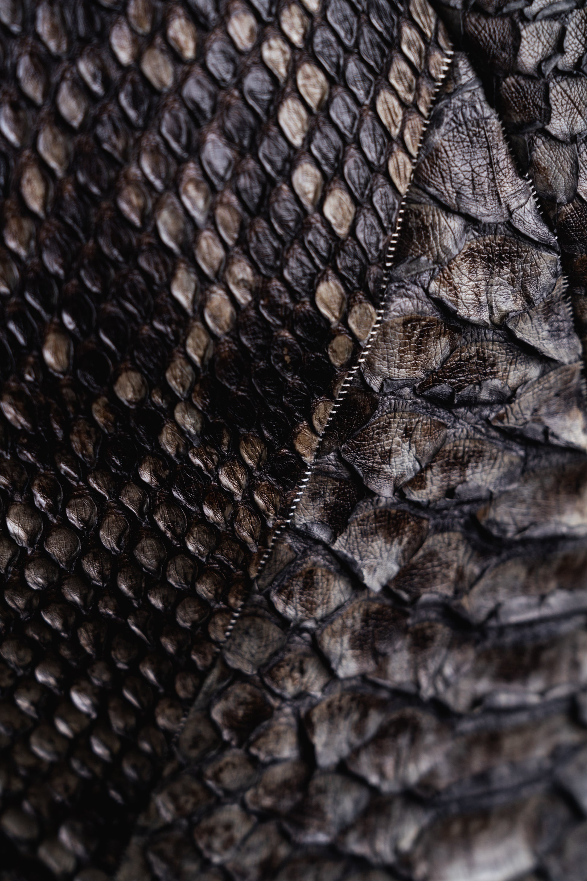 DISTORTION PYTHON – Apparel, LEON EMANUEL BLANCK